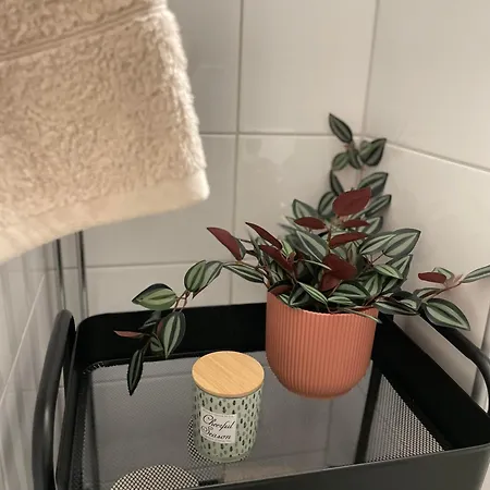 Northern Comfort Sauna