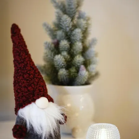 Northern Comfort Sauna Appartement Rovaniemi