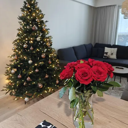 Northern Comfort Sauna Rovaniemi