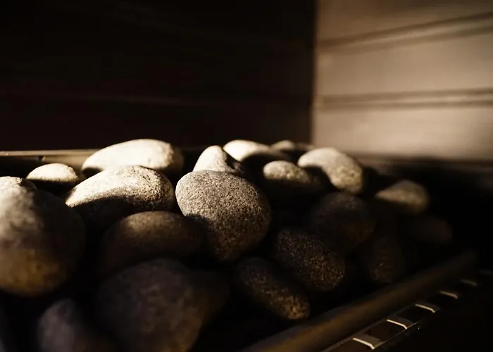 Northern Comfort Sauna 公寓 *