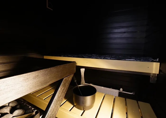 Northern Comfort Sauna * 罗瓦涅米