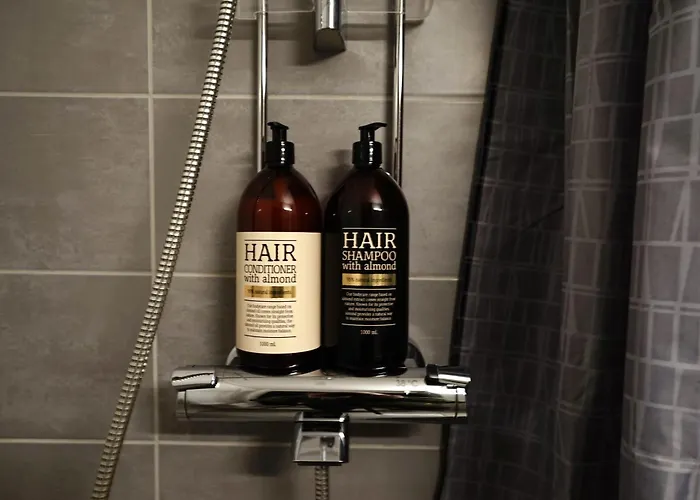 Northern Comfort Sauna 罗瓦涅米