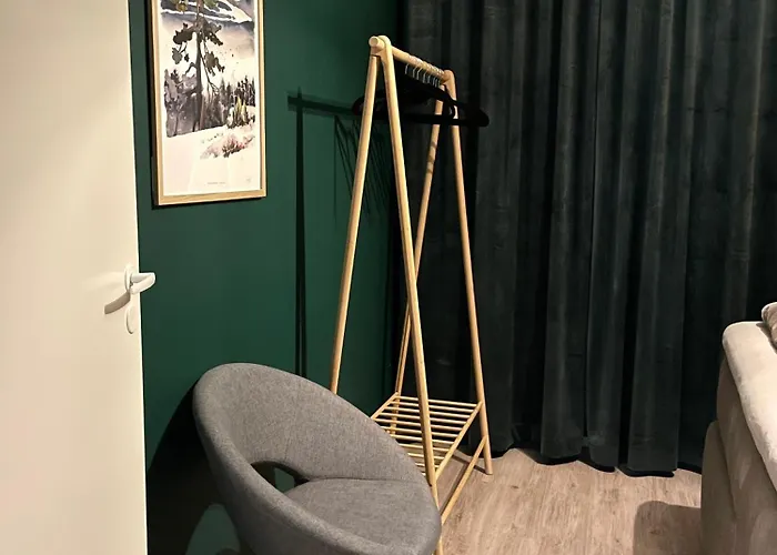 Northern Comfort Sauna 公寓 罗瓦涅米