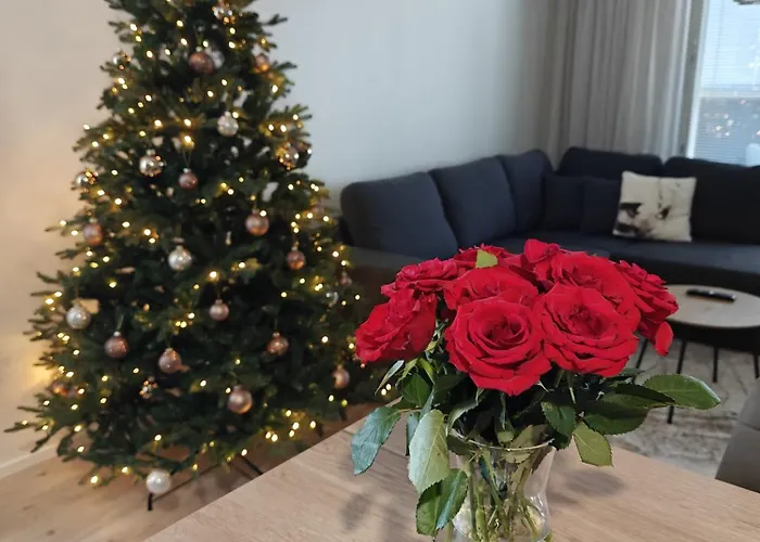 Northern Comfort Sauna 罗瓦涅米