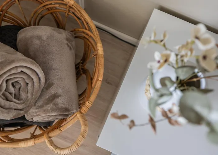 Northern Comfort Sauna 公寓 罗瓦涅米