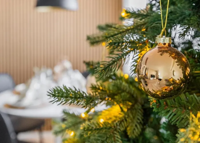 Northern Comfort Sauna 公寓