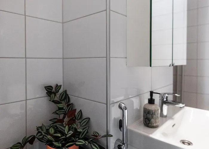 Northern Comfort Sauna 罗瓦涅米